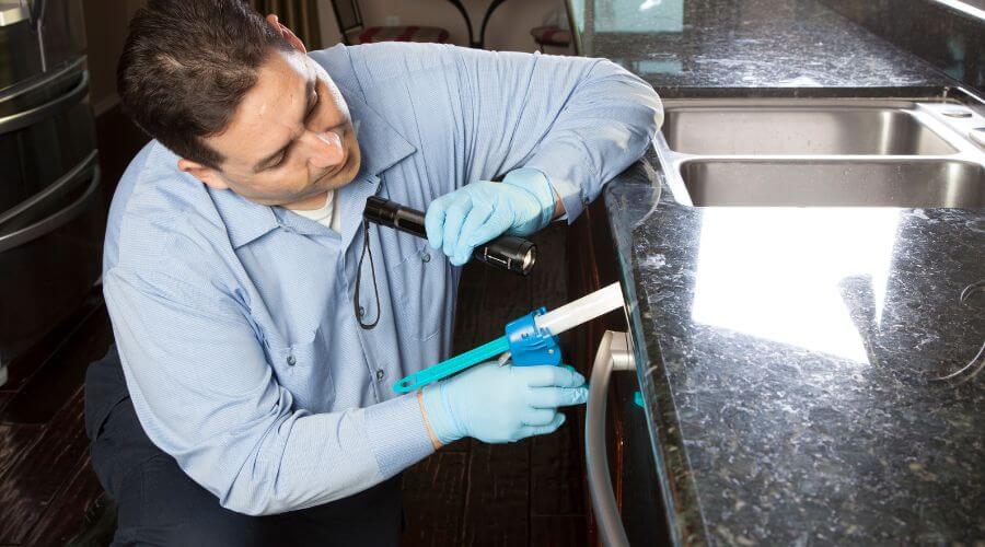 Professional bug removal services in Newhall